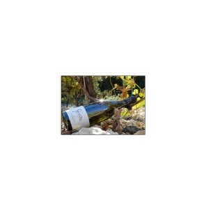 Domaine Saint Sylvestre, Blanc